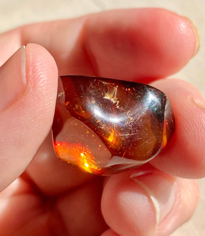 Amber Crystal Specimen (Rare Red Mayan Amber)